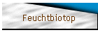 Feuchtbiotop