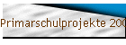 Primarschulprojekte 2003