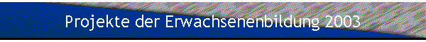 Projekte der Erwachsenenbildung 2003