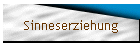 Sinneserziehung